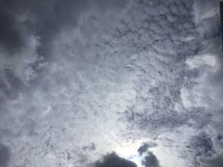 3BC20009-D604-4EE9-840A-E583E87673BA/L0/001