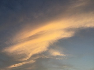 CF1F68C6-9053-4BAB-BD5C-3E0C598932A9/L0/001