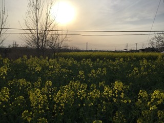 0CFEC0E9-E96A-4E45-9A25-049139C4111E/L0/001