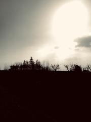 8A61A397-D431-403C-A73E-D9B3061FD7FA/L0/001