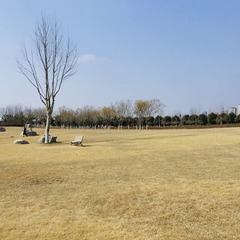 2F6503DB-47D3-4372-913D-560E539DE383/L0/001