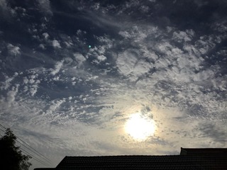 A0161F59-378D-4014-BCAF-834F3962AD7B/L0/001
