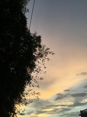 262AF4F3-0DDA-46C3-A5F9-74BE74B63815/L0/001