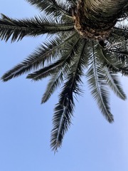 81B04B78-6719-4776-B487-60DFDD3F09F0/L0/001