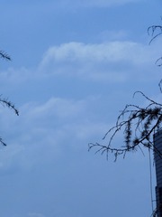 E72B8067-0B50-4766-AD4E-781011CD3697/L0/001