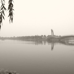R0010321.JPG