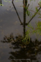 2C1D3703-37F5-472F-AAA0-AC5DC86F8EF2/L0/001