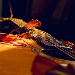 冬叶.曲