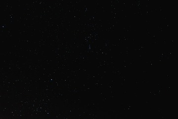 1000099161