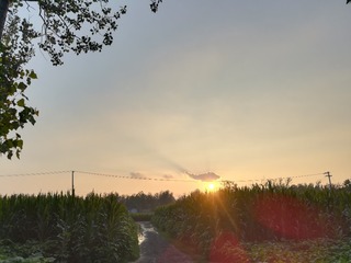 612513
