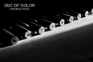 DSC_0382-2_副本.jpg