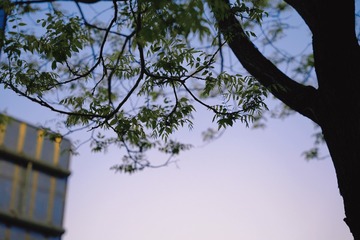 93F73C0A-338E-45DF-B162-9E0F834F9856/L0/001