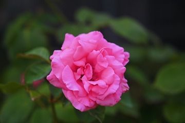 A1BCD836-6A63-4E7A-B6A7-967B2B1791DA/L0/001