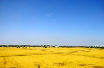 984805