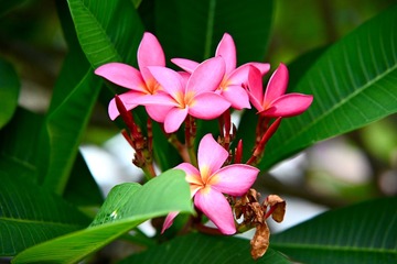 FB074156-8AA1-4505-91D8-94F278D61456/L0/001