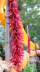 3C890F36-7AFF-4D90-B9E6-5F0FC74428EA/L0/001