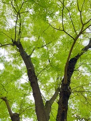 99515DE2-5D98-43F0-B71D-0EB5F80E3793/L0/001
