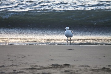 IMG_3188_1.jpg