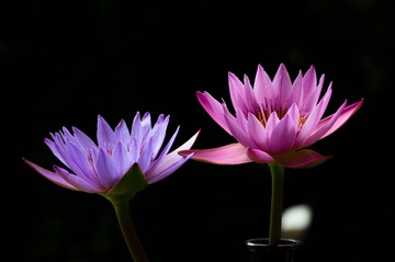 6B864024-705E-488C-AB8C-D6CD2130B614/L0/001