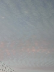 2162419