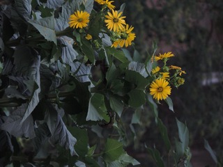 tmp_b38667bdf1f21fad1e64a5f0ac1bb682248f26993295db41