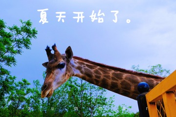 190581B6-4943-467B-9BD1-F9325E38CB63/L0/001