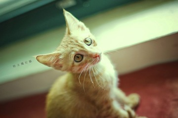 DSC_1342.jpg