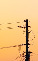 B91F0637-4CA4-45B6-B43F-5837069D31B9/L0/001