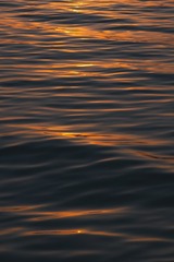 6F4FF666-78C7-4848-85A8-5FDF2AF37D7C/L0/001