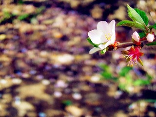 DSCN0678_副本.jpg