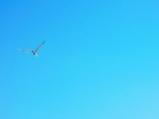DSCN2001_副本.jpg
