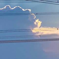 FDE2B74C-42C0-43A8-AC1C-17D6C1F430C3/L0/001