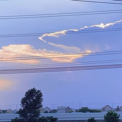 7B17A558-AFC0-4CBB-9925-A92E5F4250E3/L0/001
