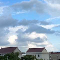 662589A2-06E0-4822-BB45-A81EF13B2065/L0/001