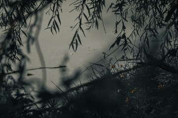 3221068