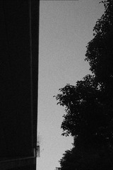 38E06A63-E1F4-4616-A778-B530DEF105F8/L0/001