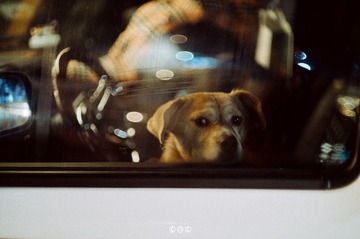 A0823DC2-BC56-447B-9CCC-4CF930573928/L0/001