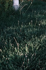F4CE1827-ADD5-4C6B-973D-5A05BBDCCCE1/L0/001