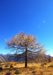 IMGP9207_副本.jpg