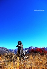 IMGP9211_副本.jpg