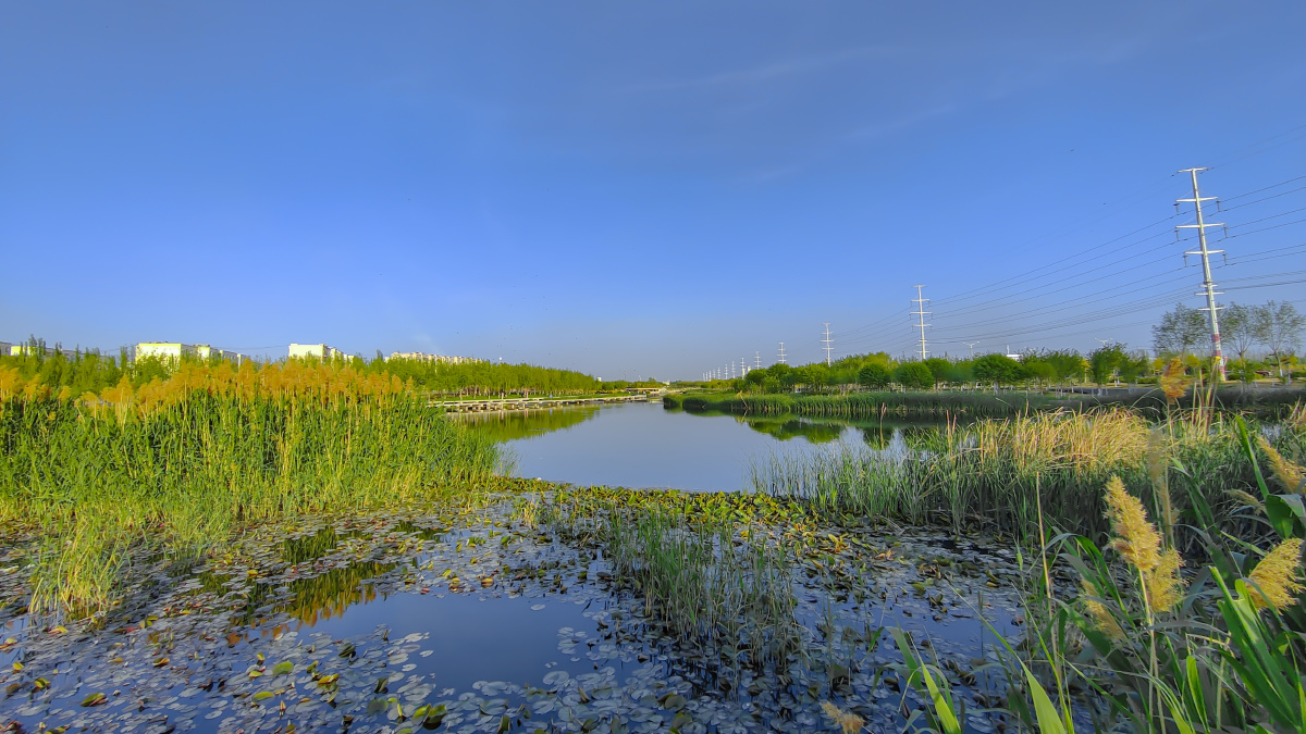 盛夏季的新疆小城库尔勒工作后才发家乡是那么的悠闲和安逸