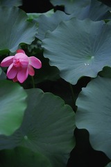 4CEBBD3C-51A4-4A11-A7A0-10574F4D2F07/L0/001