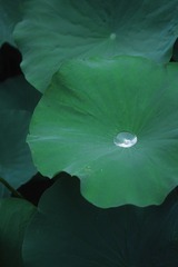 206977BD-4C38-4124-BB41-2DAFB7D830F6/L0/001