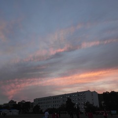 116