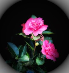 BDA8FAFC-1AA5-4A05-98F3-7EA2899698C5/L0/001