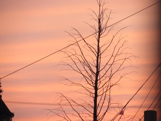 772D3F32-EF52-4DBD-B8AE-83B0D155DF96/L0/001