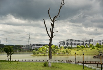 1340441