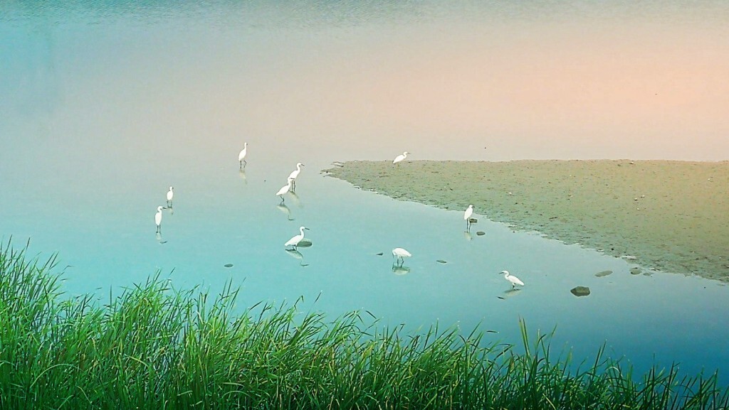 悠闲