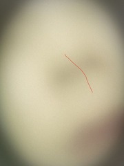 IMG_1723.JPG