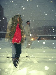IMG_5799.jpg
